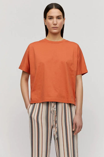 Shop kajaa t-shirt starfish orange by ARMEDANGELS on thegreenlabels.com