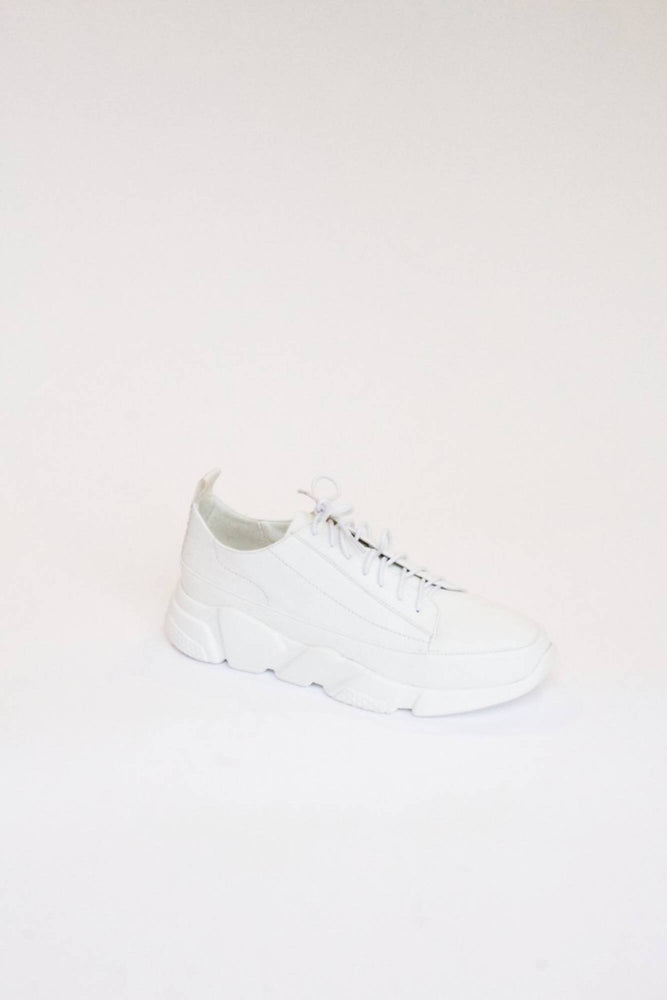 Shop gia sneaker aspro white by Collection & Co on thegreenlabels.com
