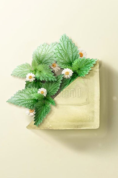 good garden shampoo bar by Bumi Bars on thegreenlabels.com